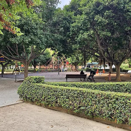 Ciencias M 瓦伦西亚